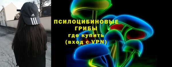 МДПВ Абинск