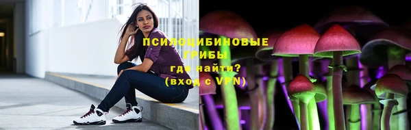 PSILOCYBIN Абаза