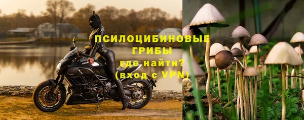 PSILOCYBIN Абаза