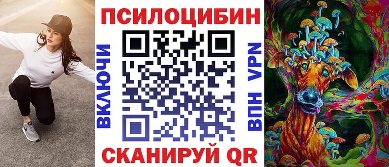OMG вход  Пудож  Псилоцибиновые грибы GOLDEN TEACHER 
